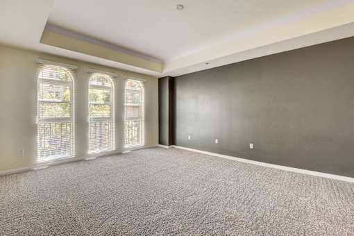A spacious room with grey carpeting and large windows.