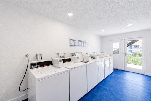 A row of white sinks in a clean, white bathroom.