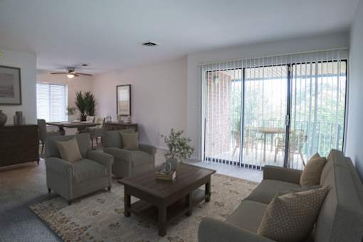 Living Room View