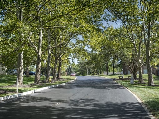 Shadow Hill Apartment Grounds