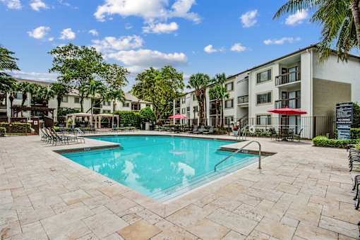 A swimming pool surrounded by a stone patio and palm trees.