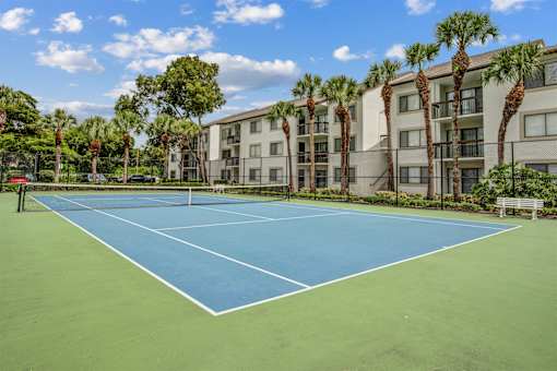 A tennis court is surrounded by palm trees and apartment buildings.