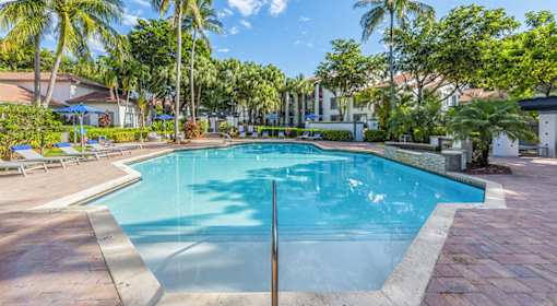 A large swimming pool surrounded by palm trees and lounge chairs.