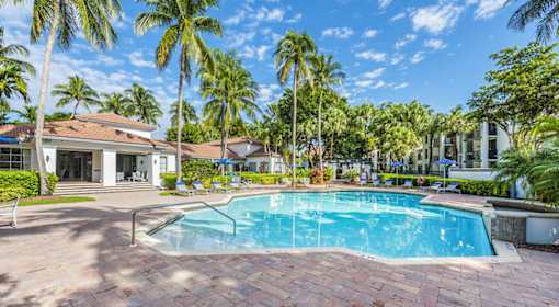 A swimming pool surrounded by palm trees and a house.