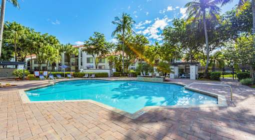 A large outdoor swimming pool surrounded by palm trees.