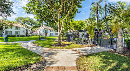 A tree in a grassy area with a pathway leading to a building.