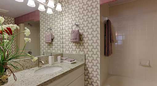 A bathroom with a sink, mirror, and a potted plant.