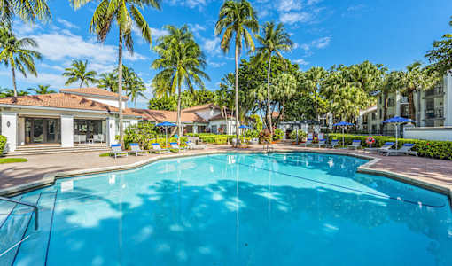 A swimming pool surrounded by palm trees and lounge chairs.