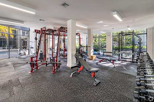 A gym with a variety of equipment including a squat rack, bench, and weights.