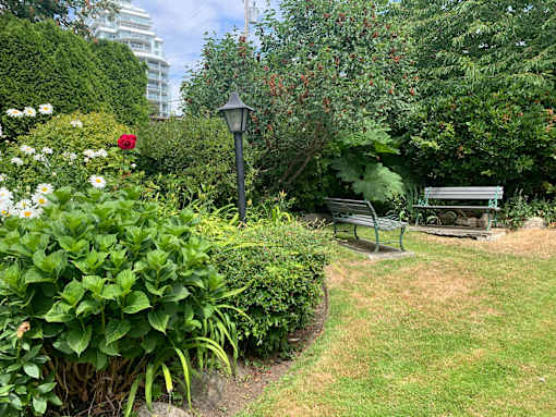 A park bench sits in the middle of a lush green garden.