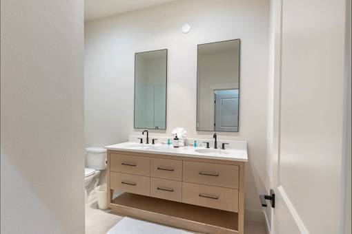 A bathroom with a vanity and a toilet.