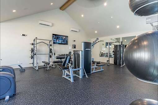 A spacious gym with a variety of equipment including a weight bench, a squat rack, a barbell, a medicine ball, a treadmill, a stationary bike, a rowing machine, a bench