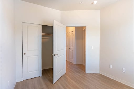 A room with a white door and a brown door.