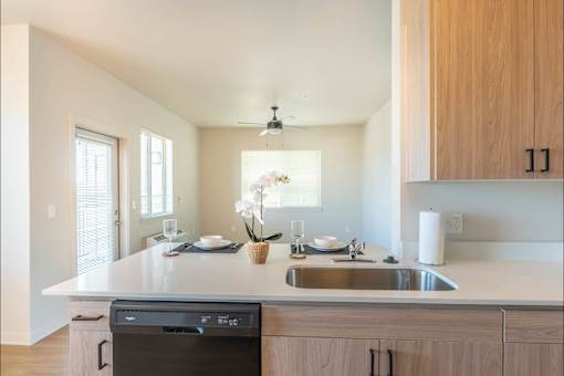 A modern kitchen with a dishwasher and sink.
