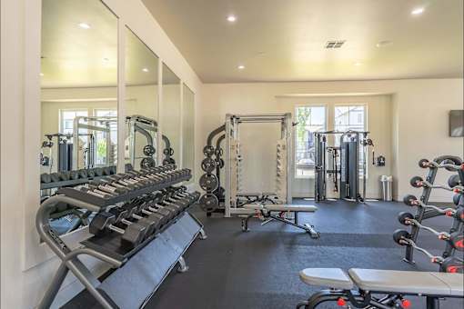 A well-equipped gym with mirrors on the wall.
