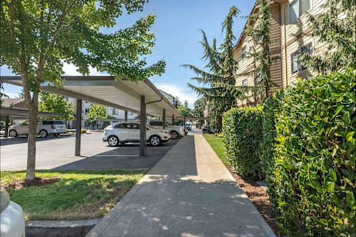 A tree-lined street with cars parked on the side at Stoneplace Apartment Homes, Oregon, 97038