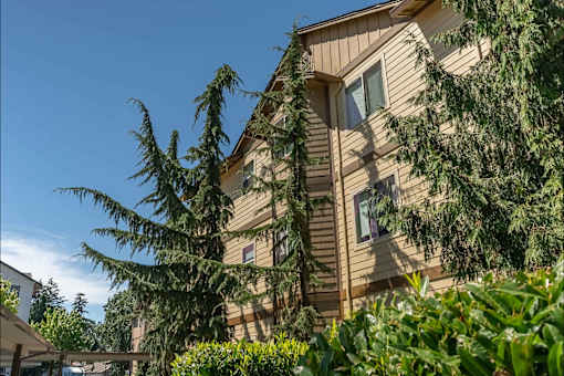 A building with a brown wooden exterior and a tree in front of it at Stoneplace Apartment Homes, Molalla, OR, 97038