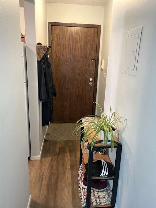 A hallway with a door and a plant on a shelf.