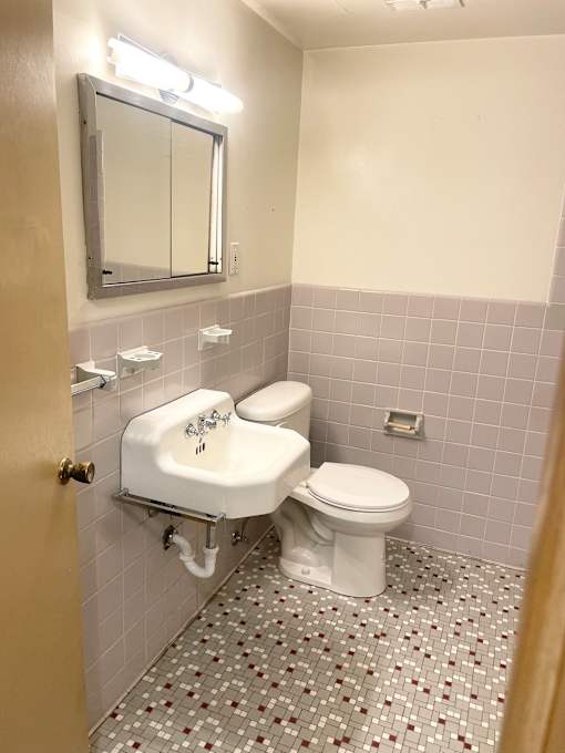 A bathroom with a toilet and sink.