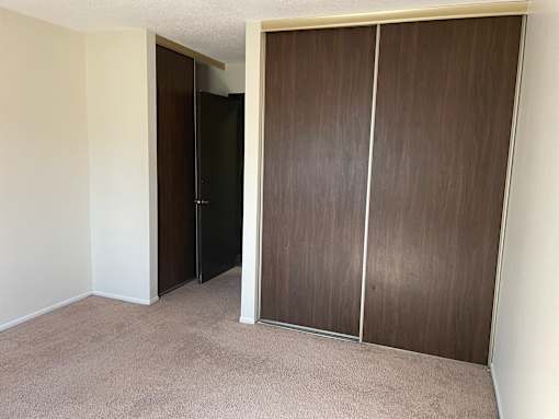 Two closets in the bedroom.
