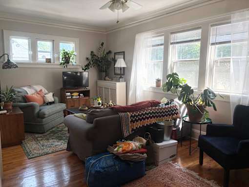 Well-lit spacious living room, warm hardwood flooring throughout, coved ceilings.