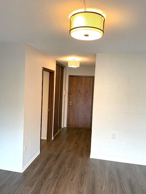 A hallway with a light on the ceiling and a door on the right.