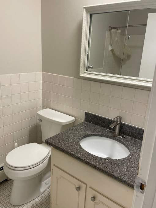 A white toilet sits next to a sink in a bathroom.