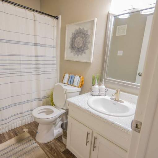 A bathroom with a toilet, sink, and shower curtain.