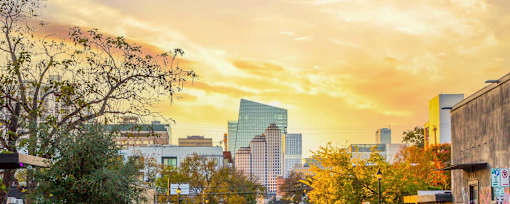 A city skyline with buildings and trees in the foreground.