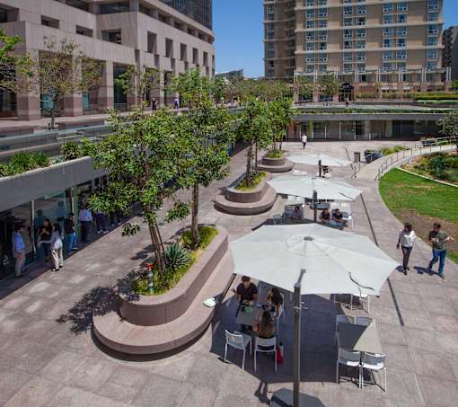 A group of people are sitting at tables under umbrellas in a courtyard.