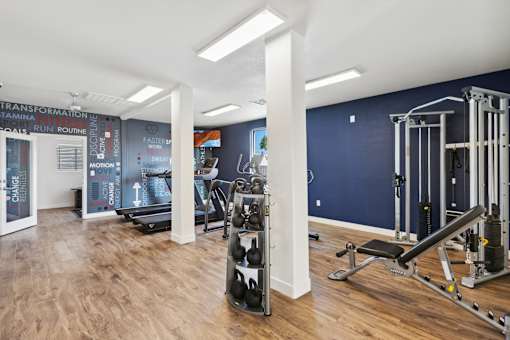 A gym with a variety of equipment including a treadmill, a bench press, and a squat rack.