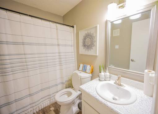 A bathroom with a toilet, sink, and shower curtain.