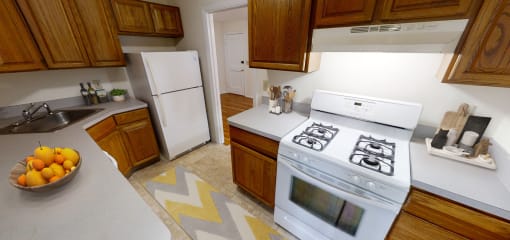 Gas Stoves and Multiple Cabinets at Green Street, Brookline