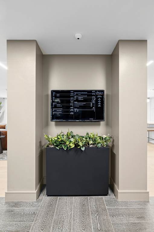 A black planter box with green plants sits on a grey floor.