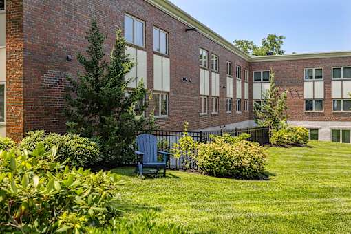 Lush, Green Outdoor Space with a Chair at 735 Truman, Hyde Park, Massachusetts