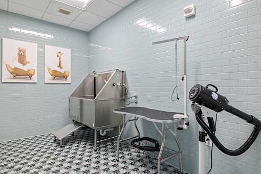 A cleaning machine is in a room with a checkered floor.