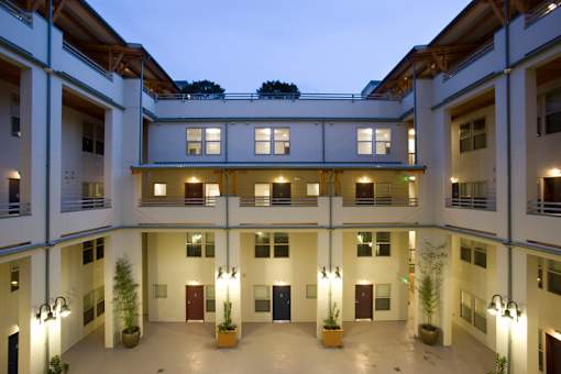 A courtyard with a lot of lights and plants.