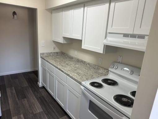 Kitchen Counters, Cabinets, and Stovetop