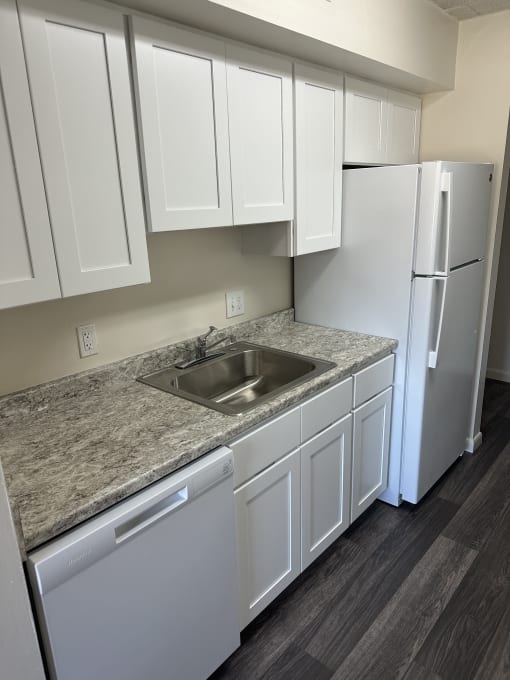Kitchen: Dishwasher, Sink, and Fridge
