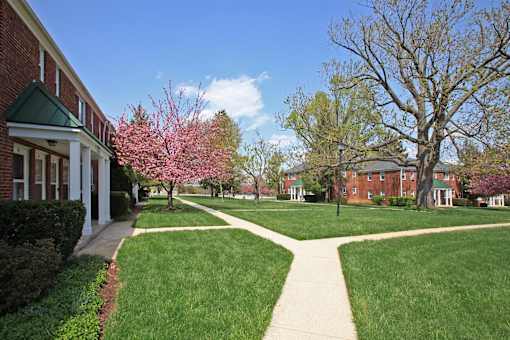 A pathway leads from a building to a tree with pink blossoms.