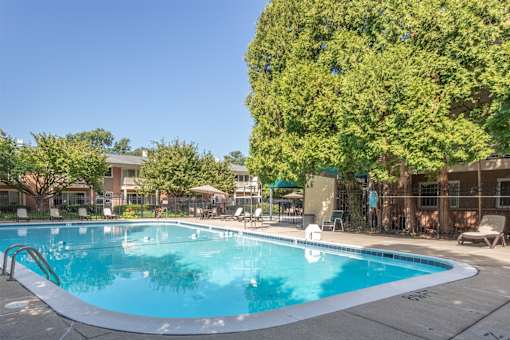A swimming pool surrounded by trees and chairs.