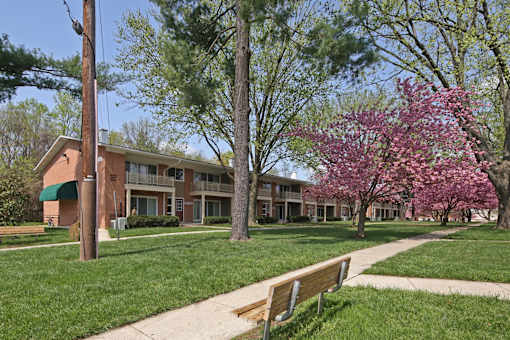 A tree with pink flowers is in front of a building.