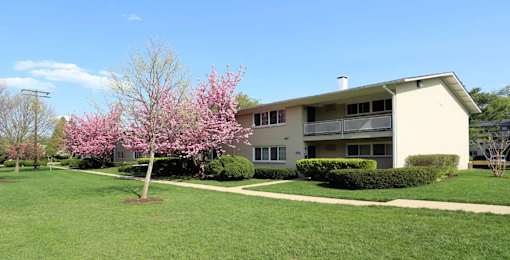 A building with a tree in front of it.