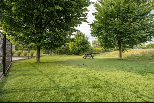 A picnic table sits in the middle of a grassy field.