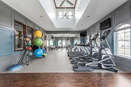 A gym with treadmills and exercise balls.