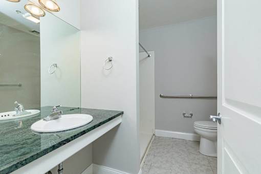 A bathroom with a marble countertop and white fixtures.