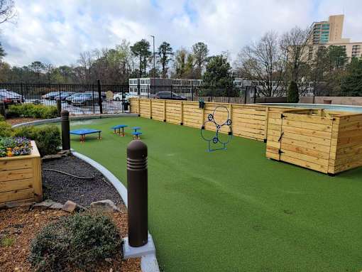 Dog Park at Atler at Brookhaven, Georgia, 30319