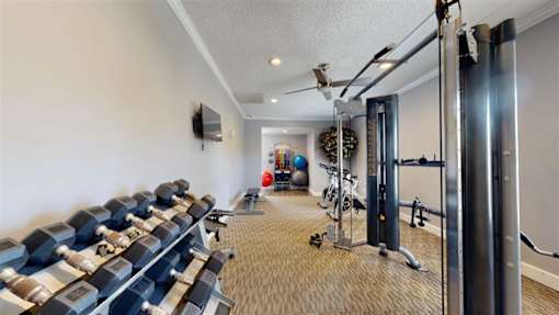 Free Weights at Vue on Medlock, Georgia, 30092