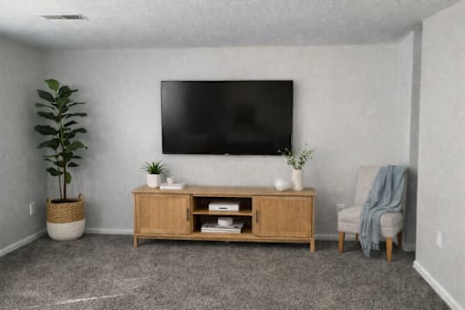 A living room with a tv, a plant, a cabinet, and a chair.