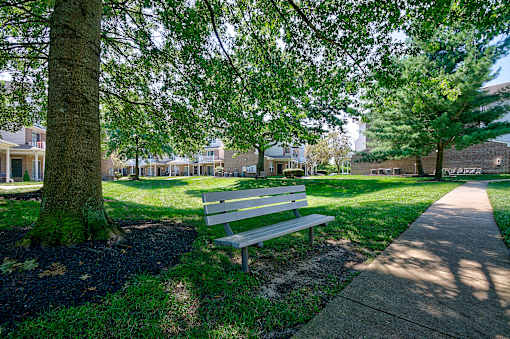 A park bench is situated under a tree in a grassy area.
